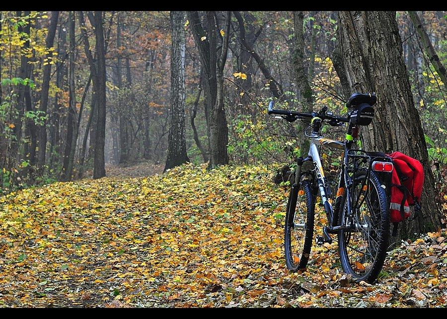 Sosnowiec - Milowice - Park Tysiąclecia