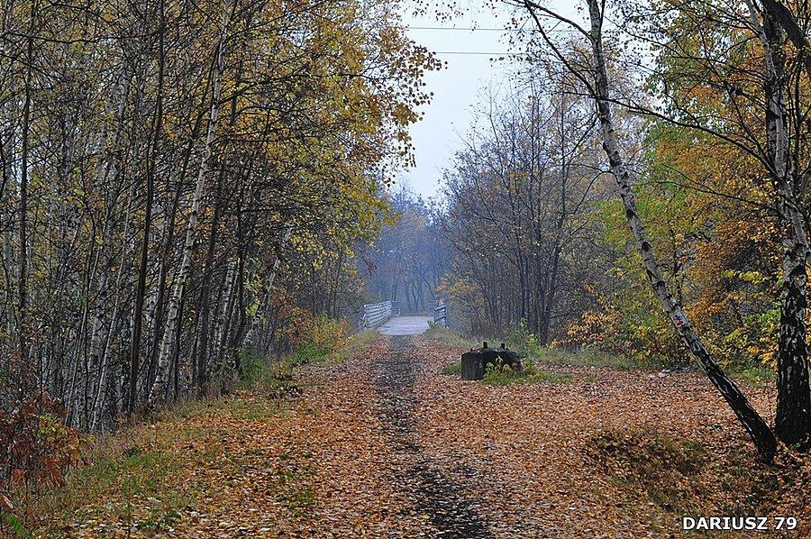 Sosnowiec - Milowice - Park Tysiąclecia