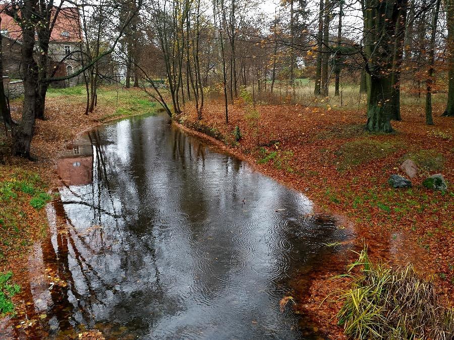 Rzeka Krępa w Marianowie