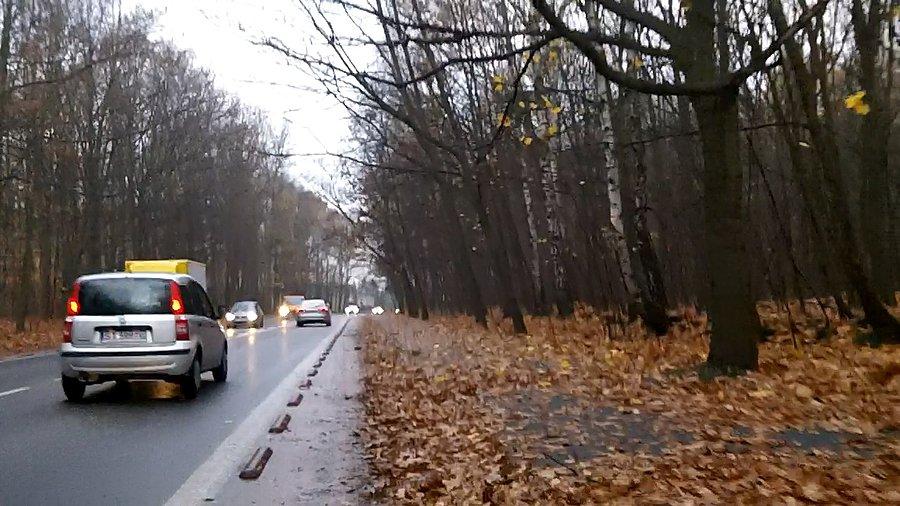Nikt tego nie sprząta ze ścieżki bo i po co? Pod śniegiem nie będzie widać ;P