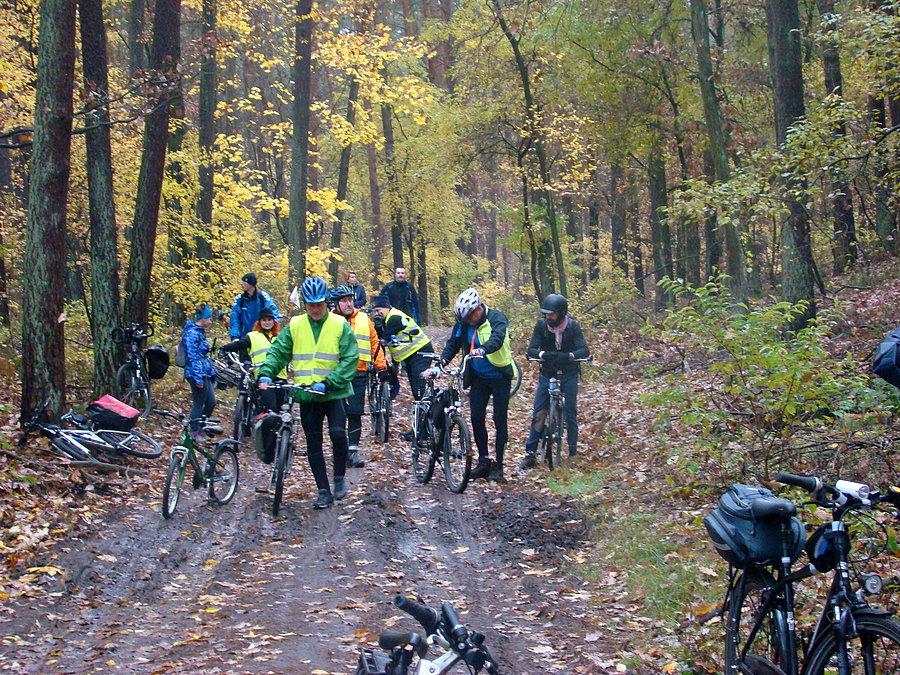 Szczeciński rowerowy Hubertus 2015.Wszyscy ruszają w las na poszukiwanie śadów lisicy