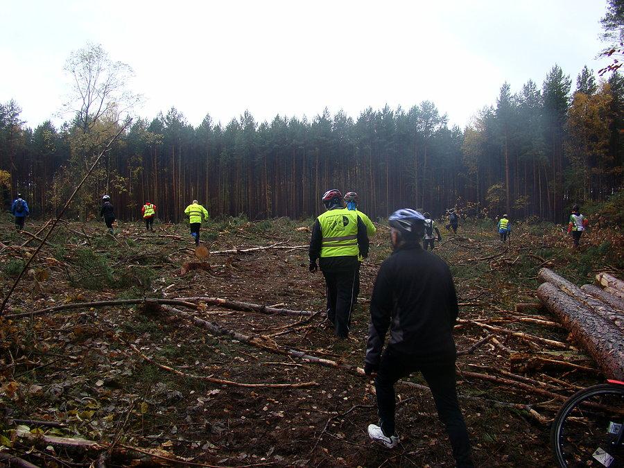 Szczeciński rowerowy Hubertus 2015. Na wieść że lisica jest w pobliżu wszyscy rzucili sie na poszukiwania