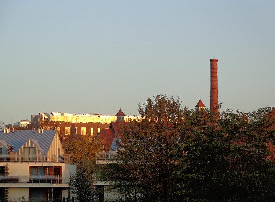 Złoto na Praczach