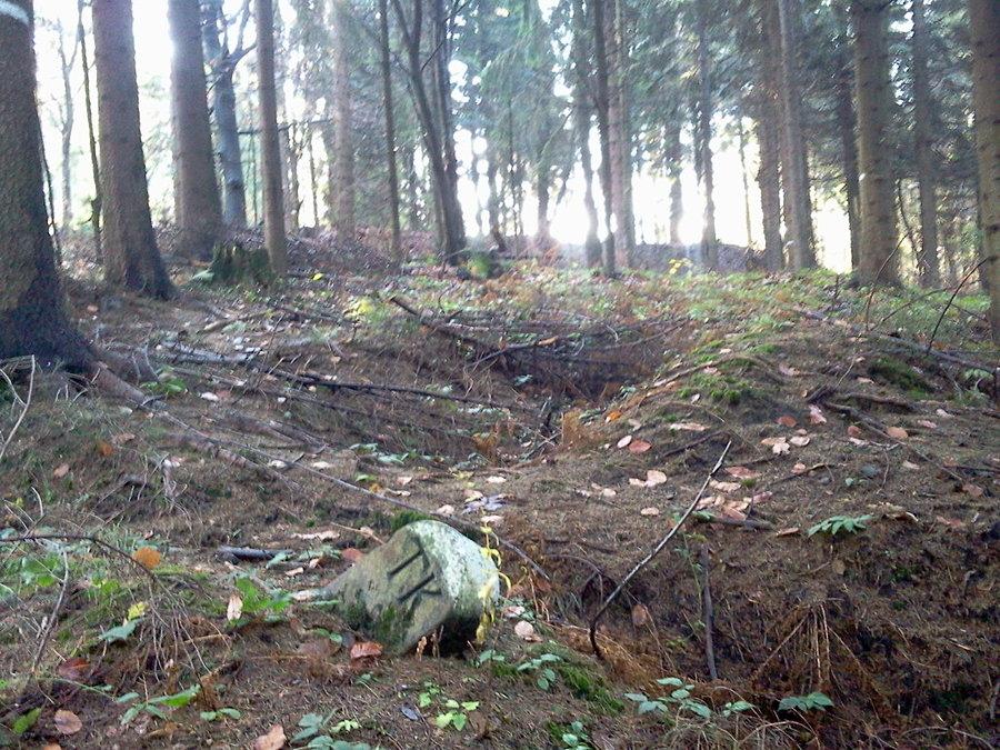 Wzgórza Dziołek. Kamień TK i wały szańca w oddali
