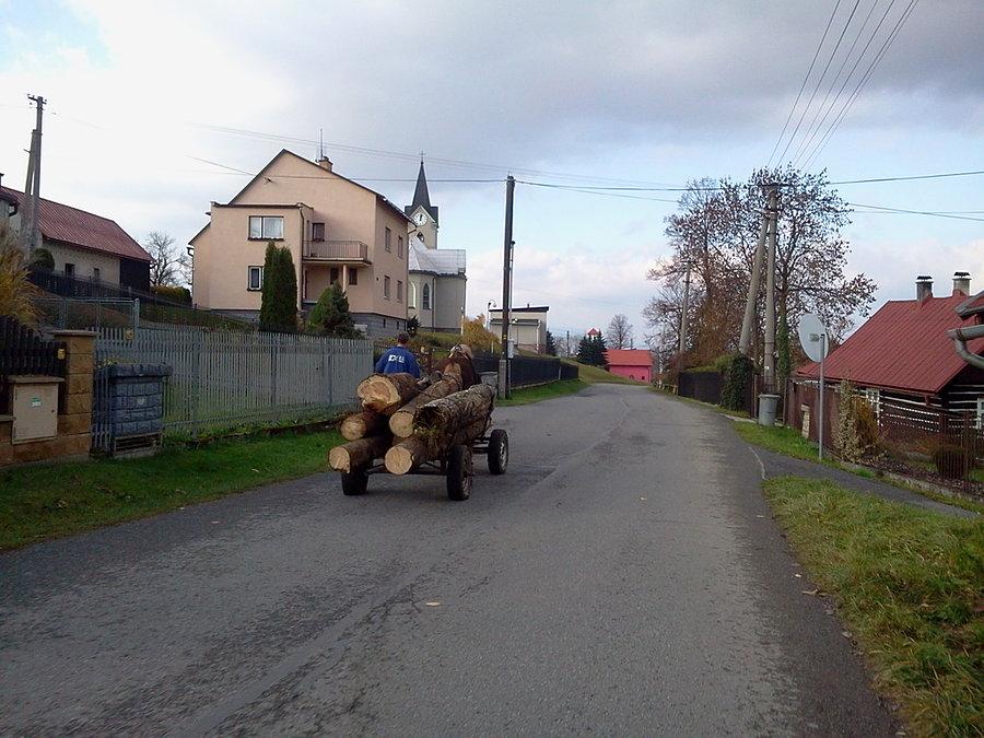 Bukowiec