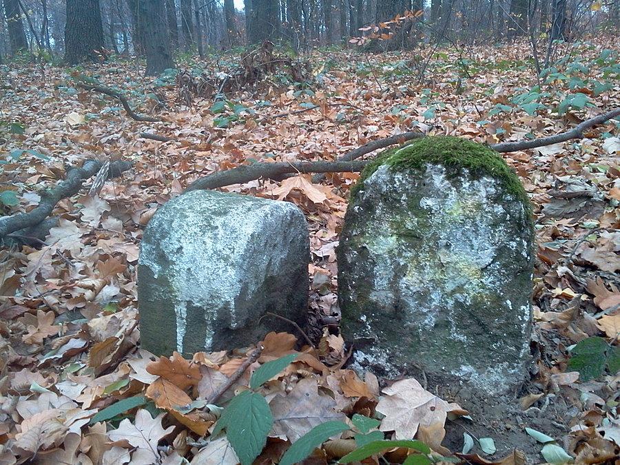 Po przeciwnej stronie drogi wypatrzyłem drugi