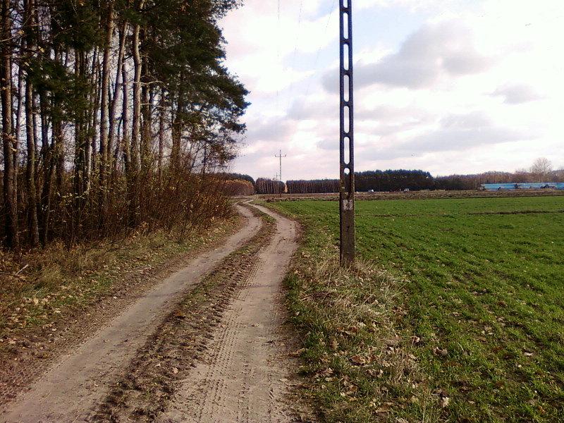 Łódzki Szlak Konny