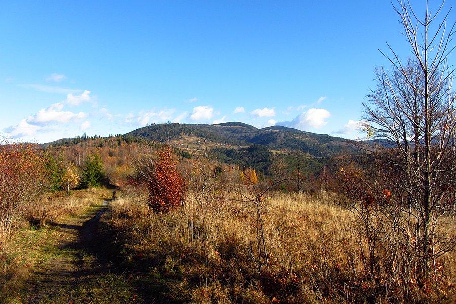 Widoczek I