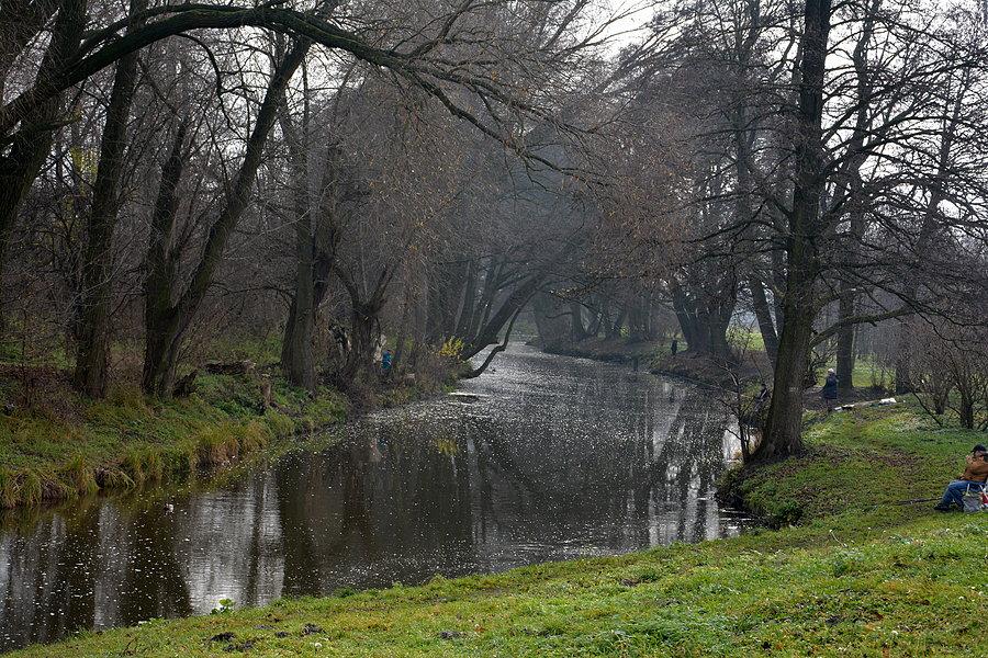 Bystrzyca tuż poniżej Zalewu Zemborzyckiego