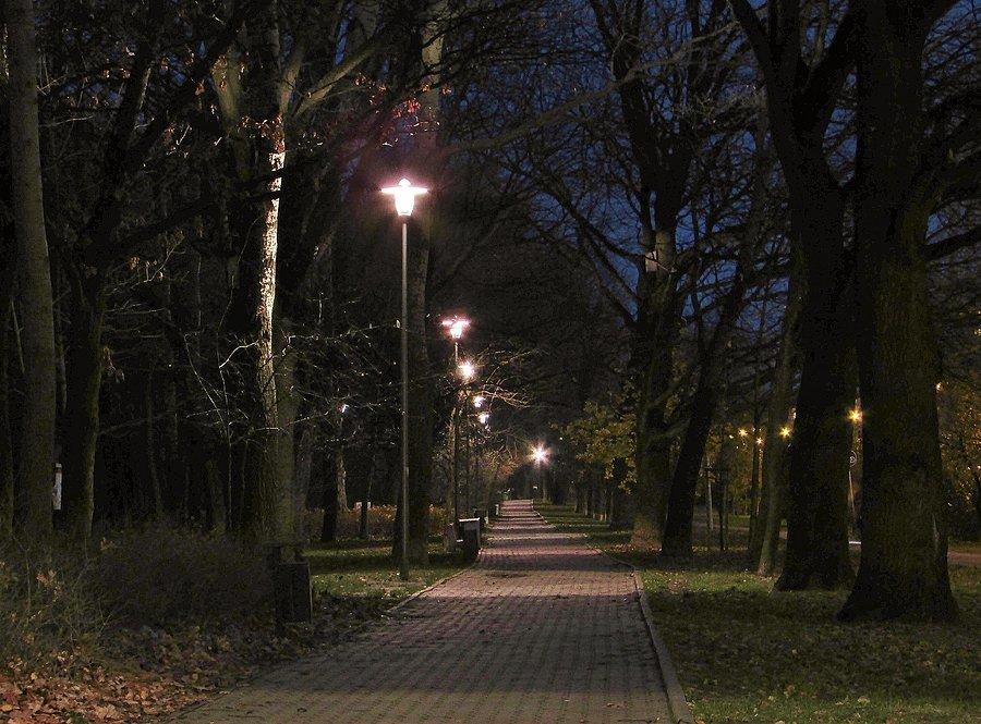 Aleja Kasztanowa
