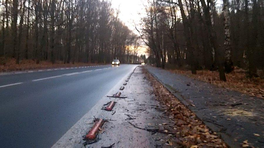 Śmieci na DDRce w Kochłowicach