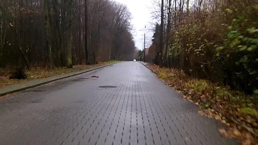 Chyba będę miał szczęście