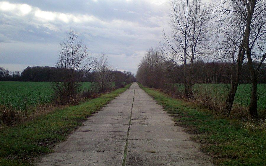 Zielone chodniki na betonówce