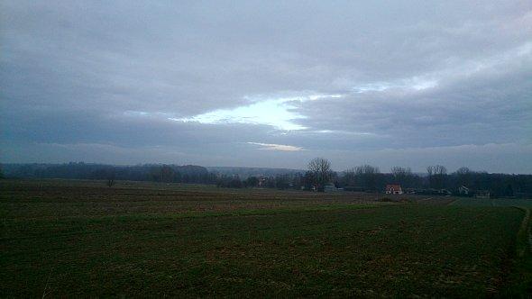 Pola koło Iżyc