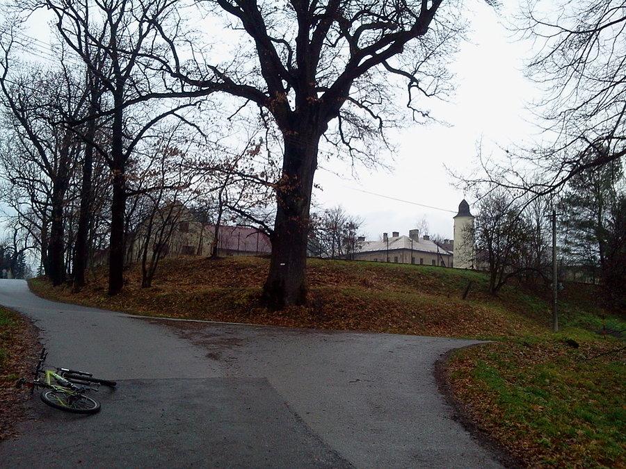 Chociebuż, pałac