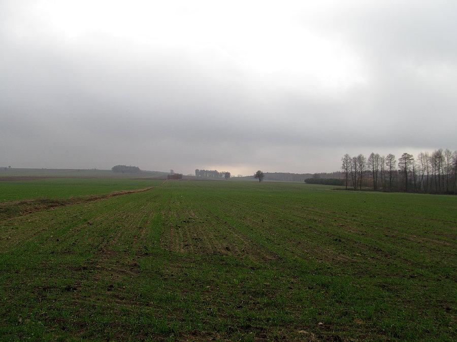 Listopadowe widoki - okolice Kraszewa Wielkiego