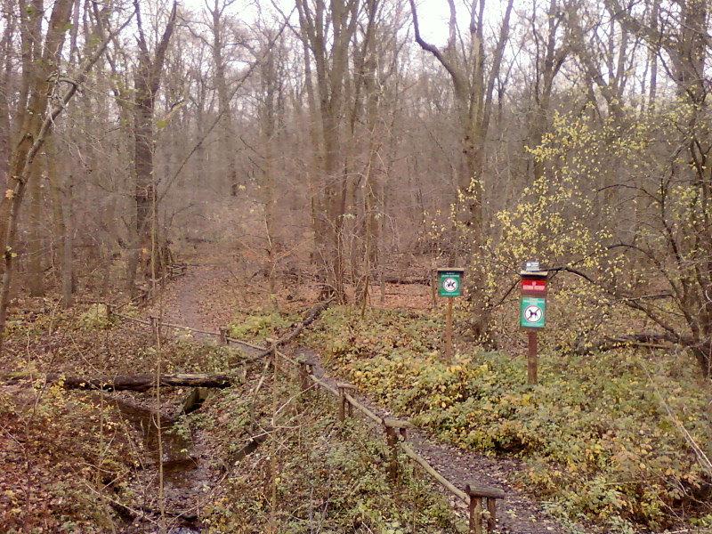 Las Bielański