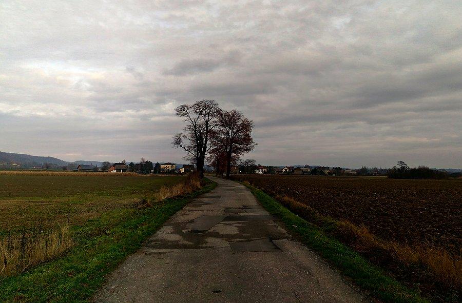 Jadę w kierunku Bełsznicy