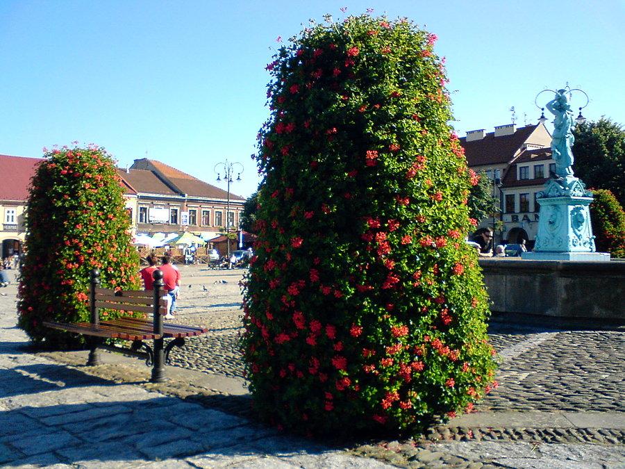 Myślenice