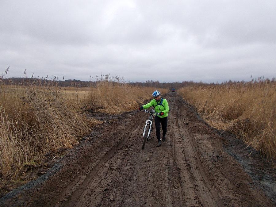 Szlak Green Velo