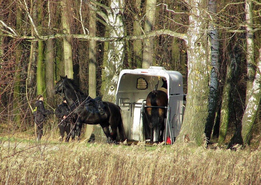 Las Kabacki - patrol dobiegł końca