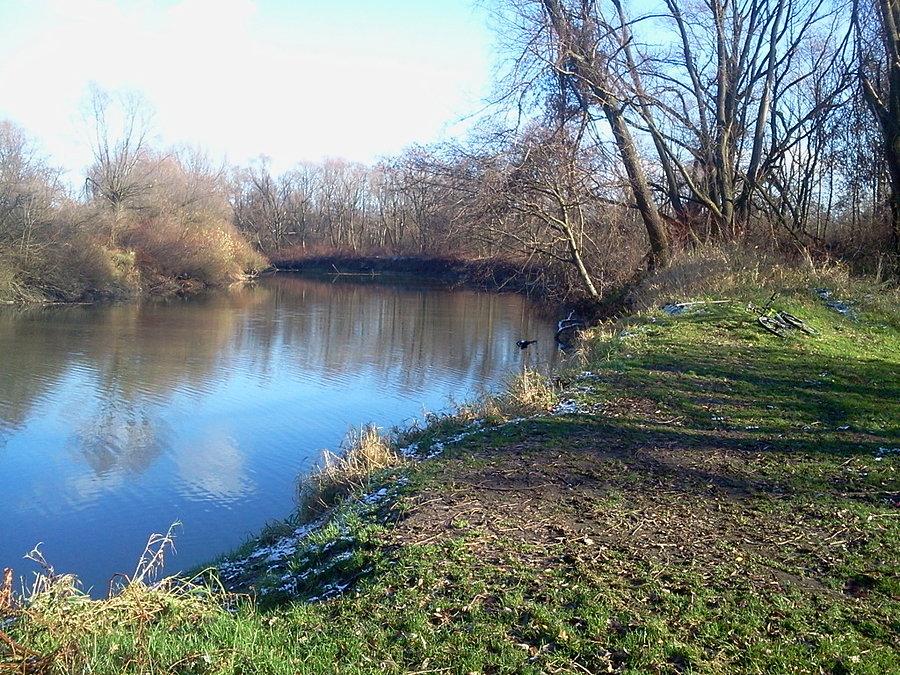 Wisła w Strumieniu