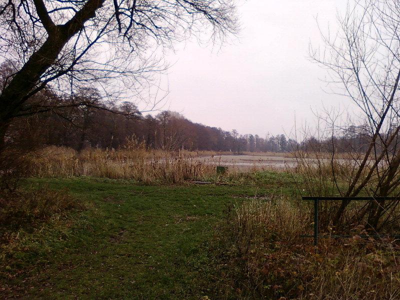 Rezerwat Stawy Raszyńskie