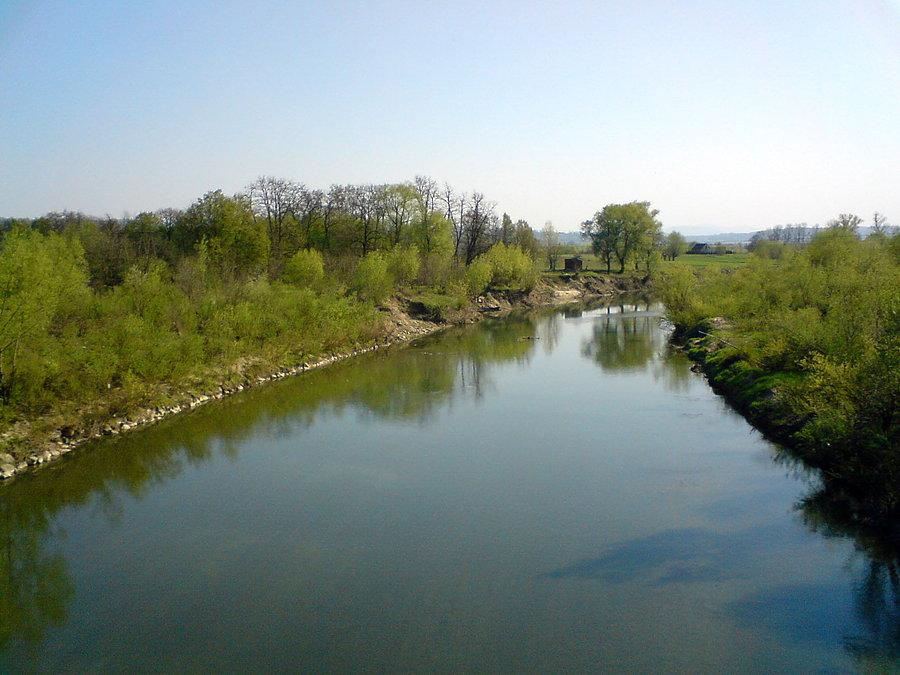 Rzeka Raba