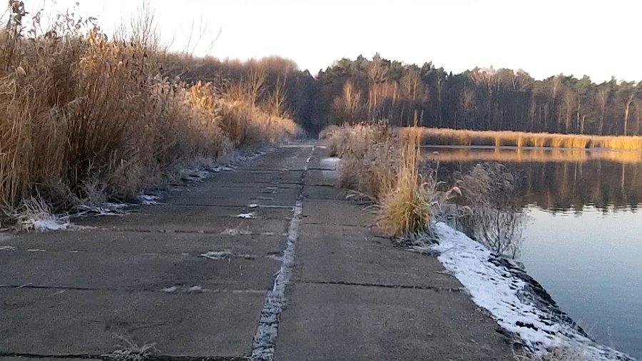 Okolice stawów Makoszowskich