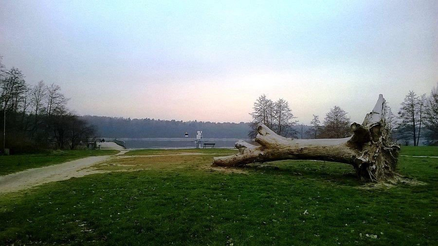 Strzeszynek - plaża
