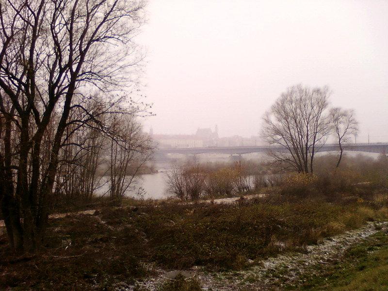 Widok na Wisłę i Zamek Królewski