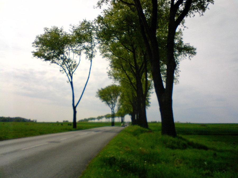Gdzieś za Kaszowem