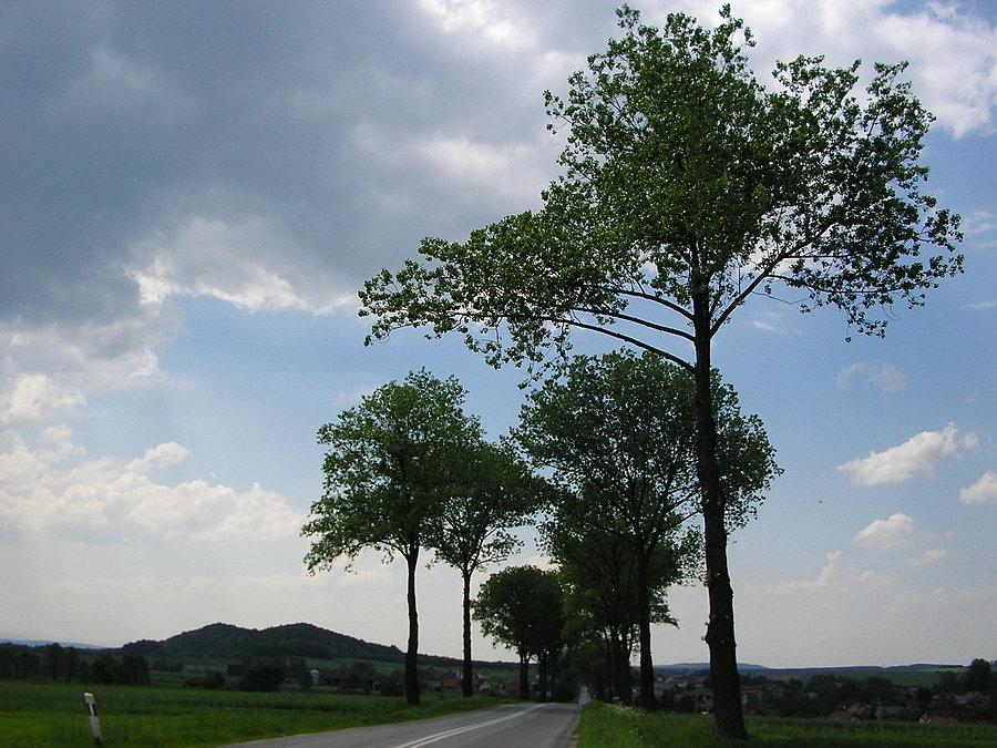 Trochę dalej