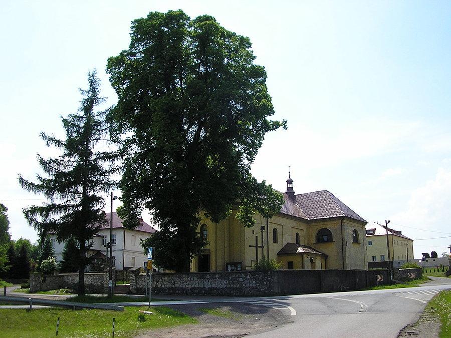Brodła