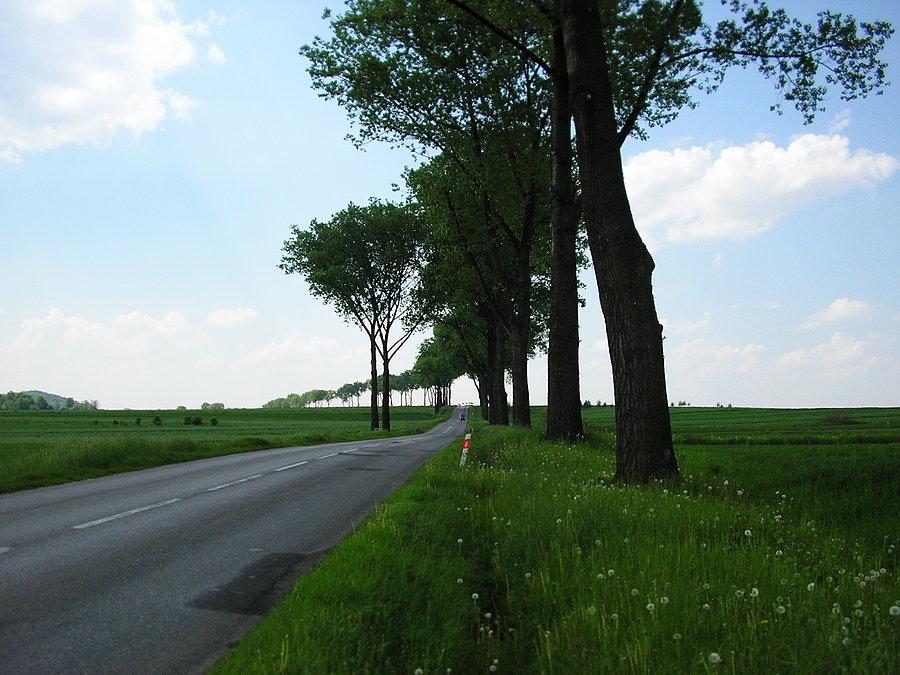 Za Kaszowem