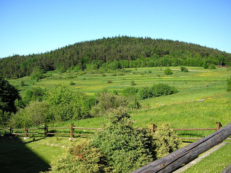 I widoczek