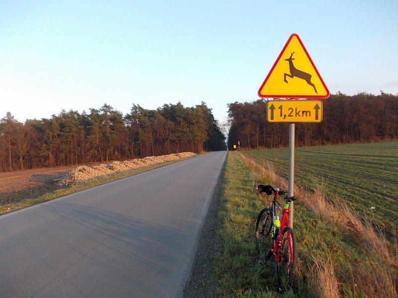 Pracowity poniedziałek