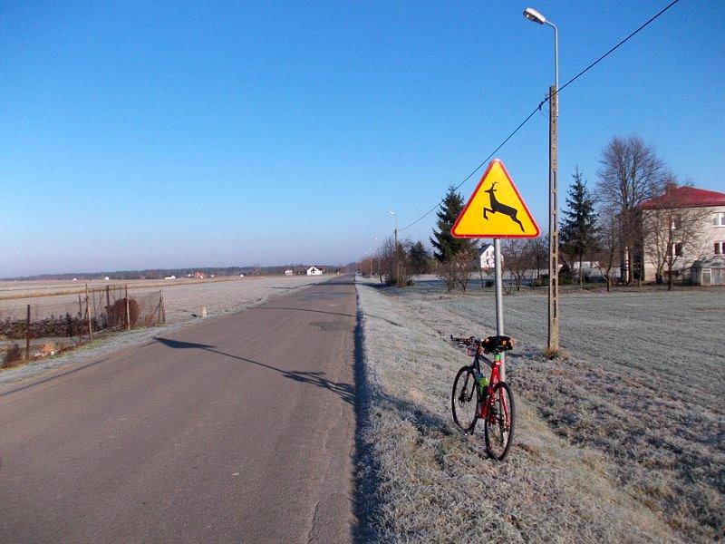Słonecznie i zimno