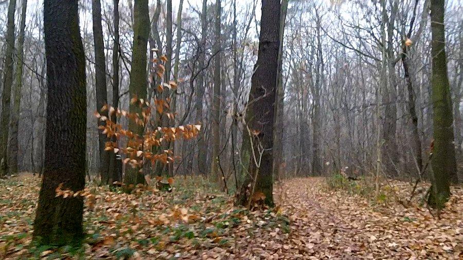 To co lubię :)