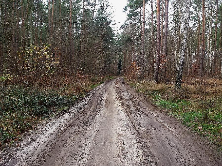 Trochę suchej drogi