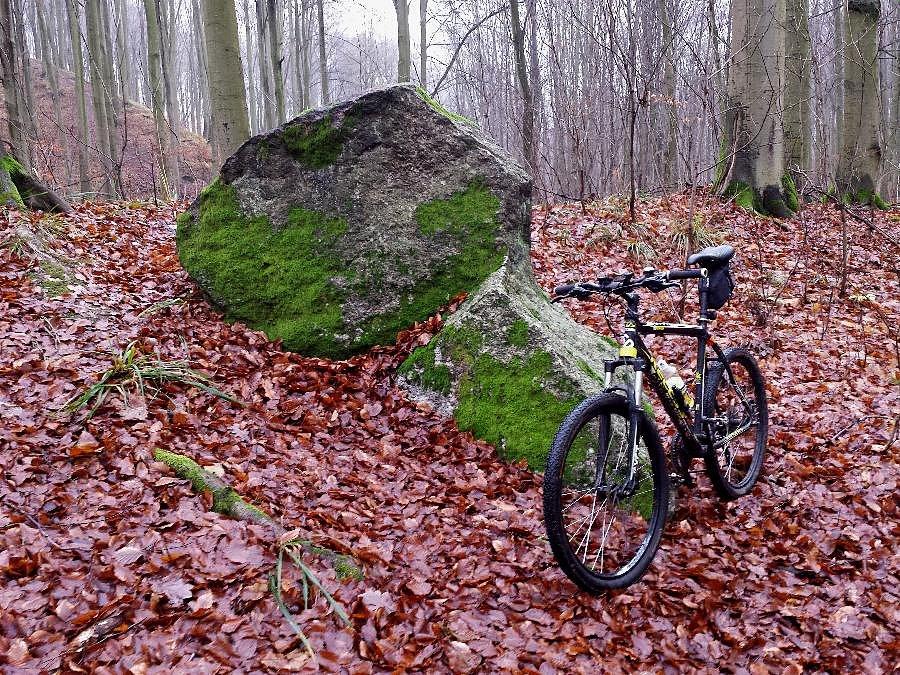 Głaz Słupi o obwodzie 8,65 m