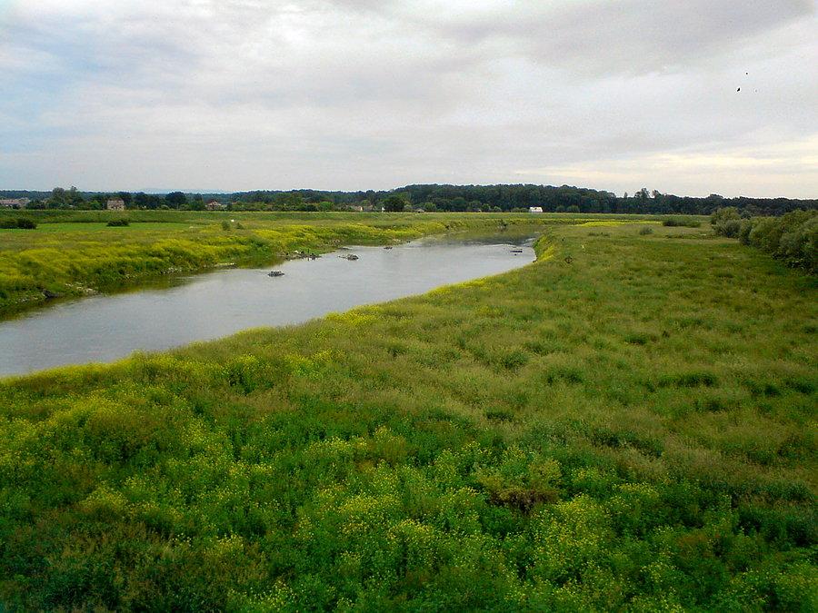 Wisła