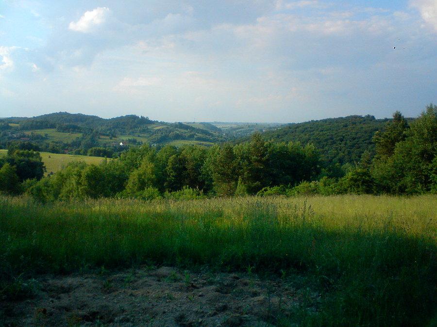 Górki
