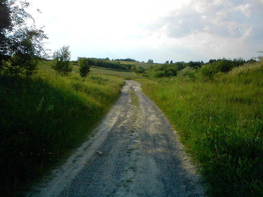 Jakaś polna droga