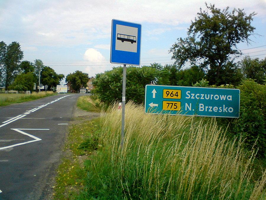 Po drodze