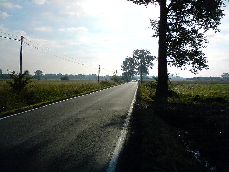 Wojewódzka 964
