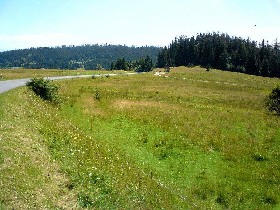 Zjazd