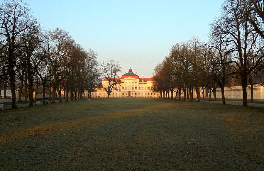 Pałac w Rogalinie