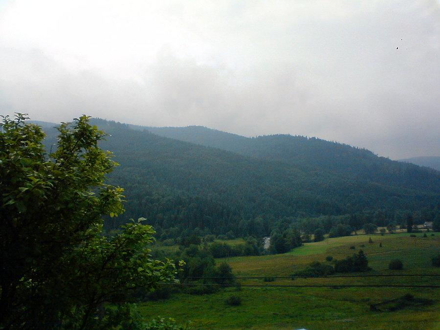 Gorce