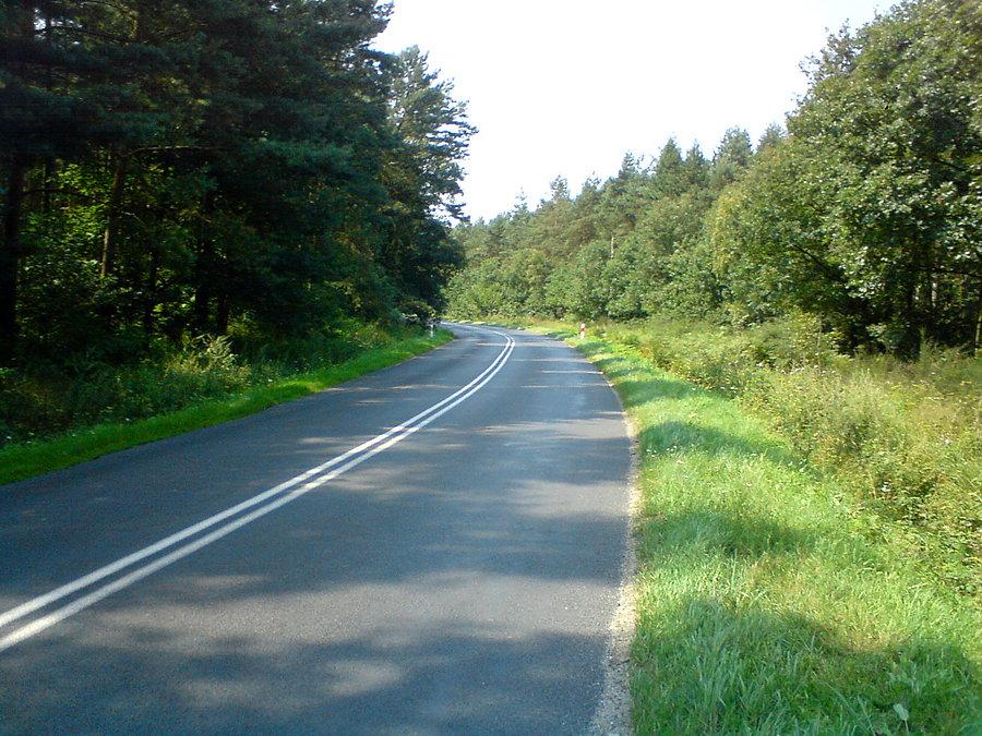 Znowu lasek